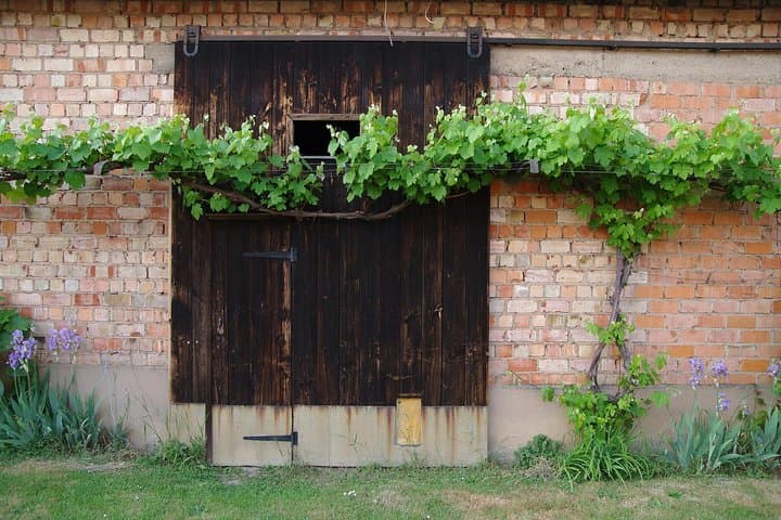 Winery
