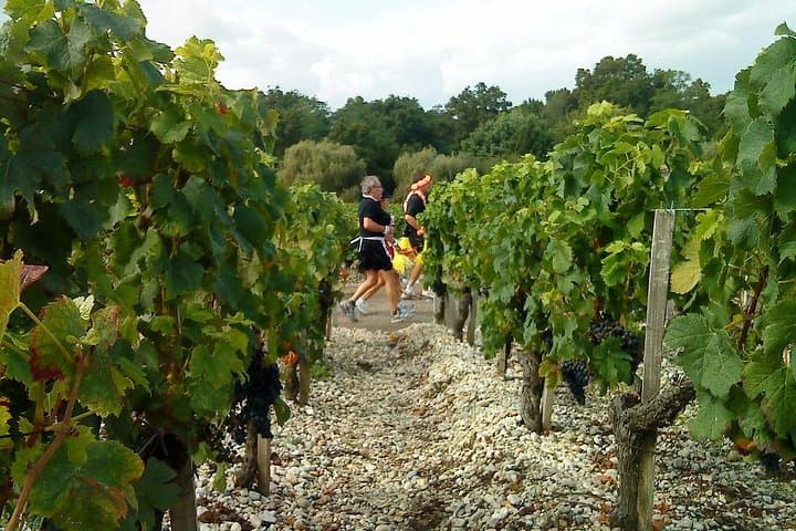 Private Full Day Winery Tour from Bordeaux with Hotel pick up