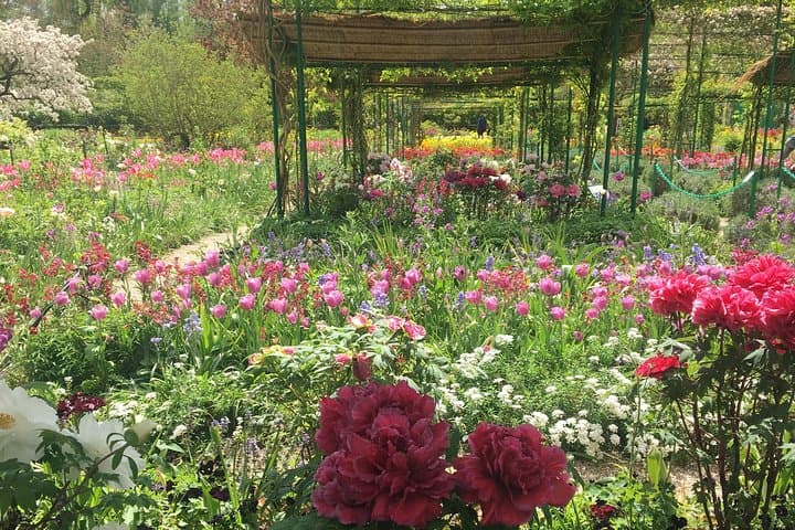 Monet's garden