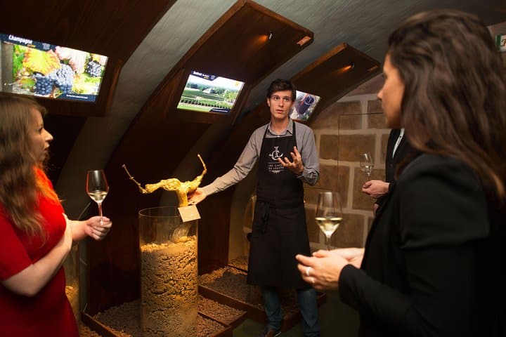 Paris - Guided Visit & Tasting in a Royal Wine Cellar