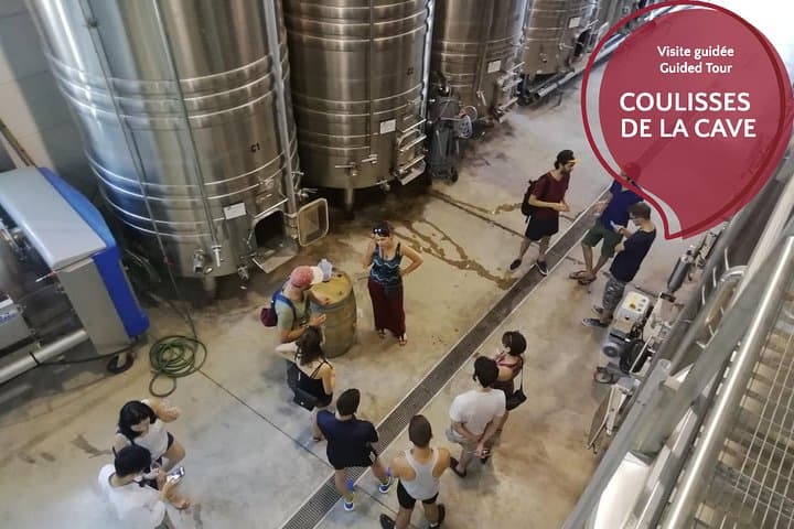 A tasting in the tank