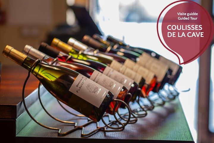 Our range of wine 2019