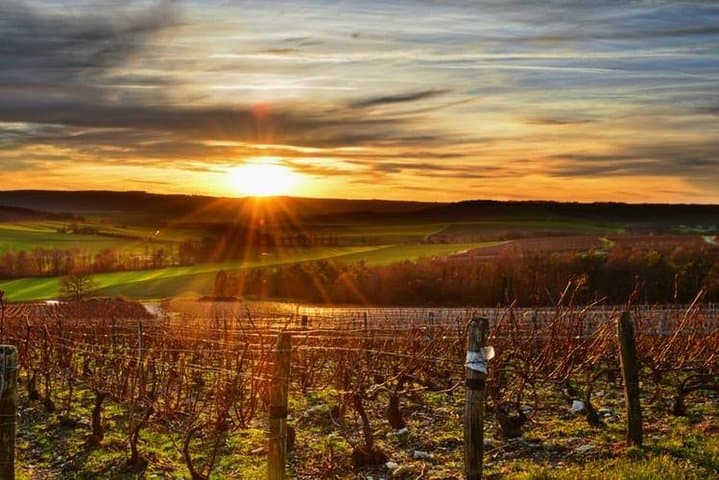 Epernay (World Capital Of Champagne)-Transportation Private Trip
