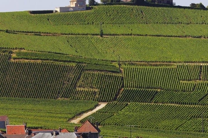Private Day Trip from Paris to Reims and the Champagne Region
