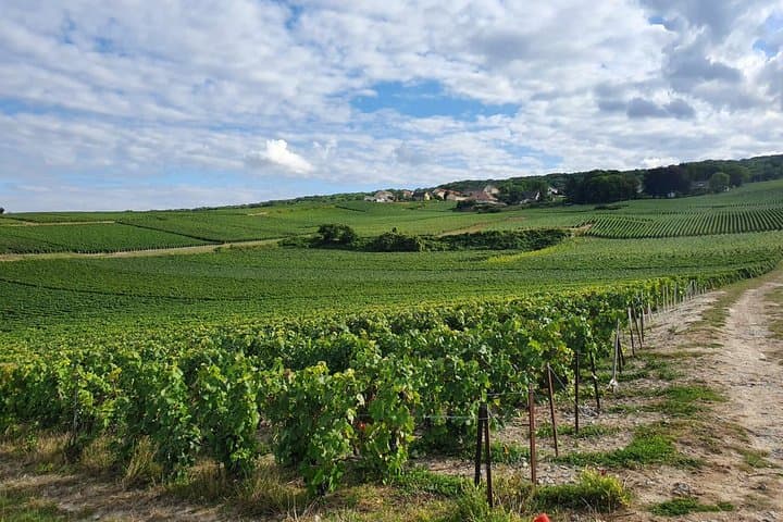 Private Day Trip from Paris to Reims and the Champagne Region