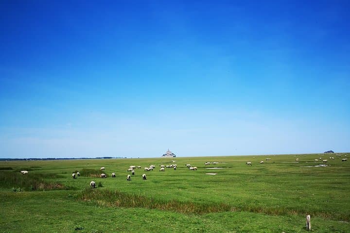 Private Day Tour of Mont Saint-Michel from Bayeux