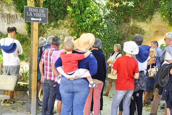Cave Museum Village Troglodyte of Rochemenier Admission Ticket