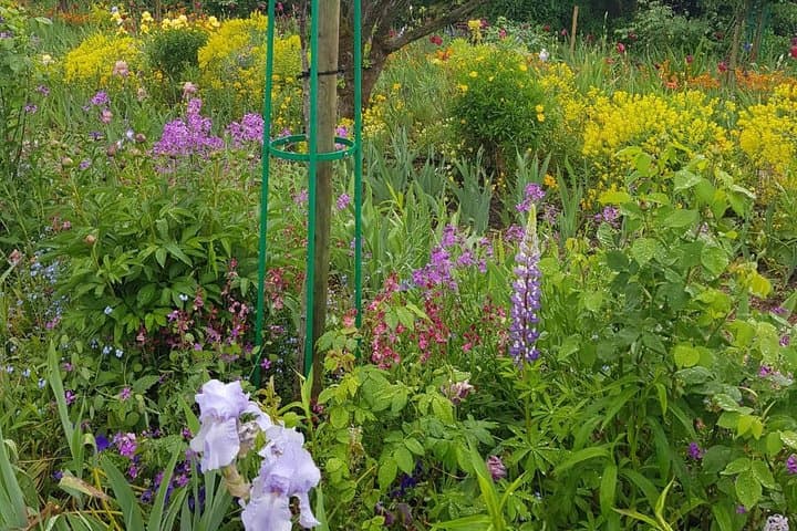 Private Car Trip to Giverny Garden from Paris