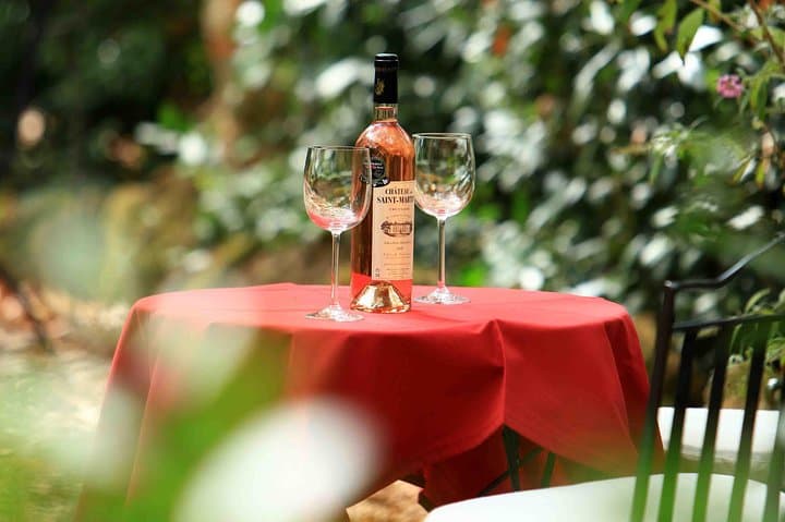Private Day Trip: Wine Tasting Tour with Pinic Lunch From Nice