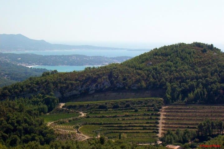 Bandol Wine Tour - 4 hour Private tour