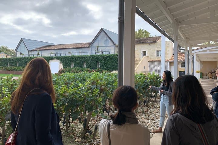Private day tour in the Médoc (Premium Sedan)