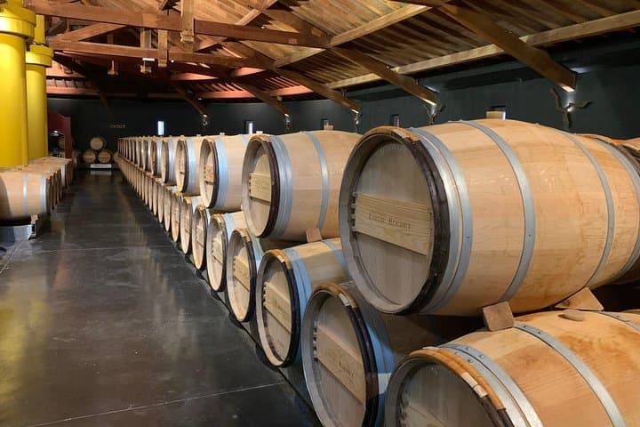 Private day tour in the Médoc (Premium Sedan)