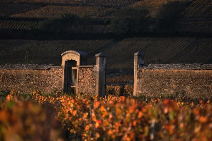 Small-Group Full-Day Tour of Côte de Nuits, Côte de Beaune Vineyards and Beaune Historical District
