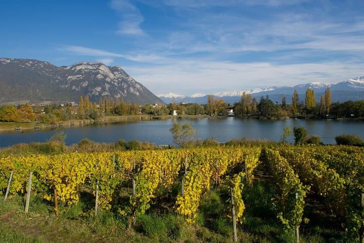 Vignobles de Savoie : visites et dégustations depuis Annecy