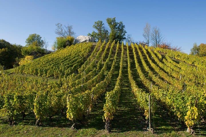 Vignobles de Savoie : visites et dégustations depuis Annecy