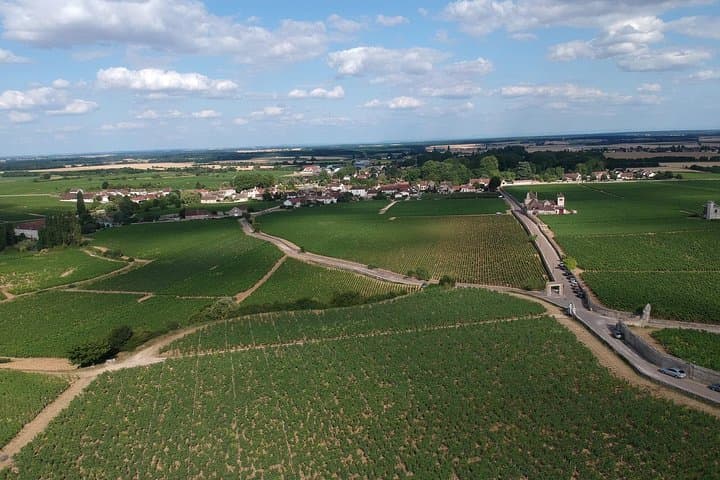 Private full day tour in Burgundy : The Essence of Chablis