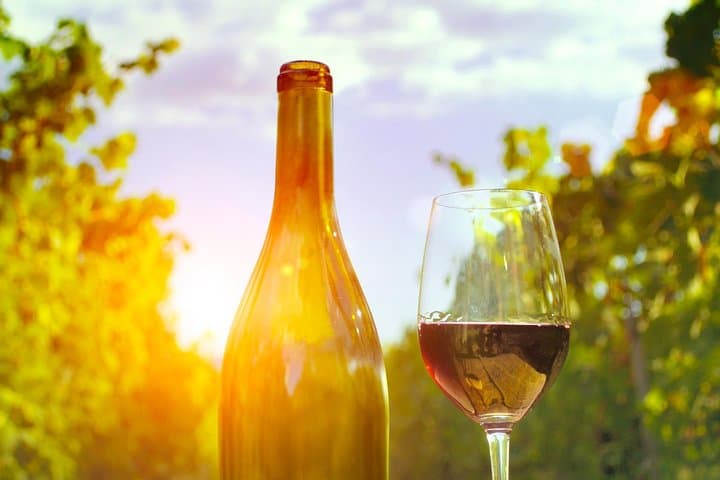 glass of wine in the vines