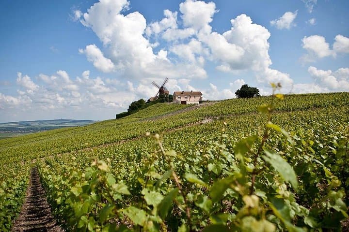 Private 10-hour round transfer to Champagne Epernay from Paris. Best offer!