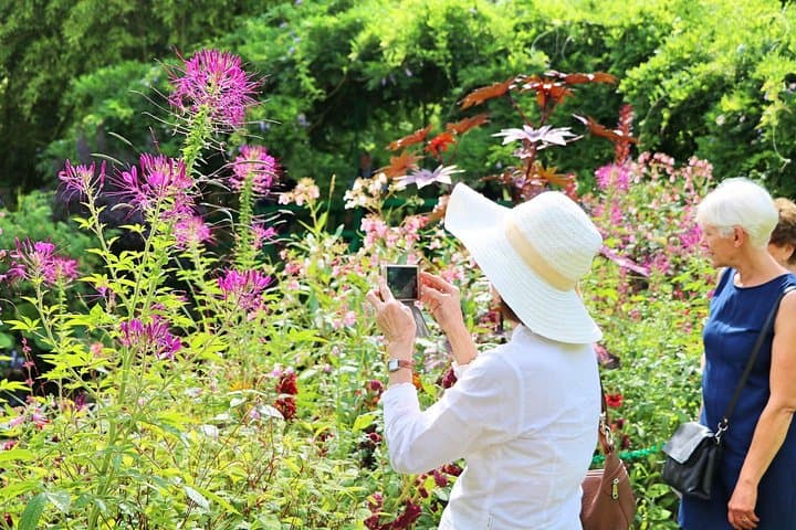 Giverny and Monet's Garden Half-Day Trip from Paris