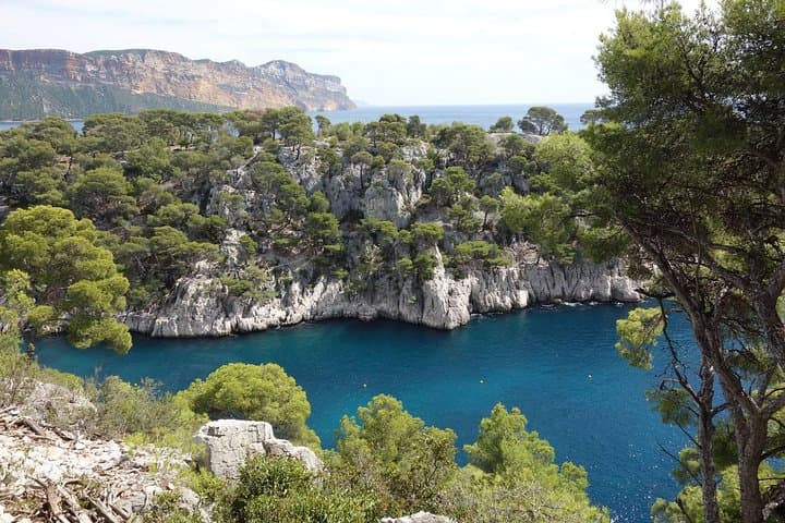 Port Pin and Cap Canaille