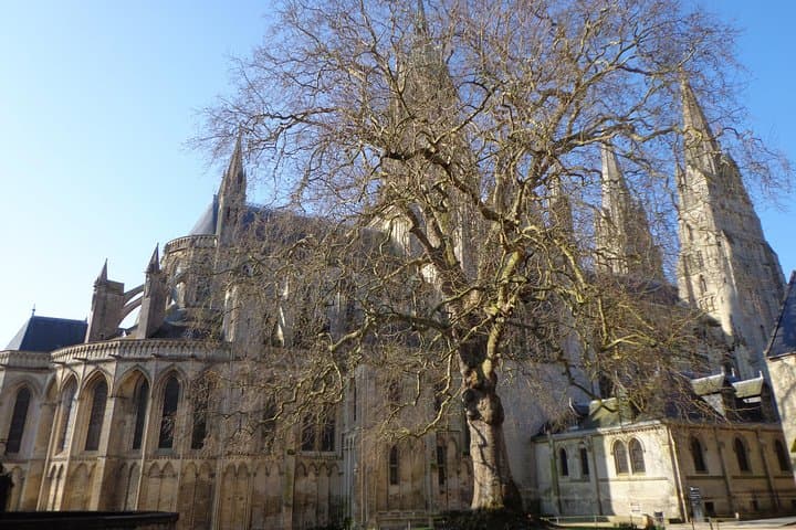The Liberty Tree in winter