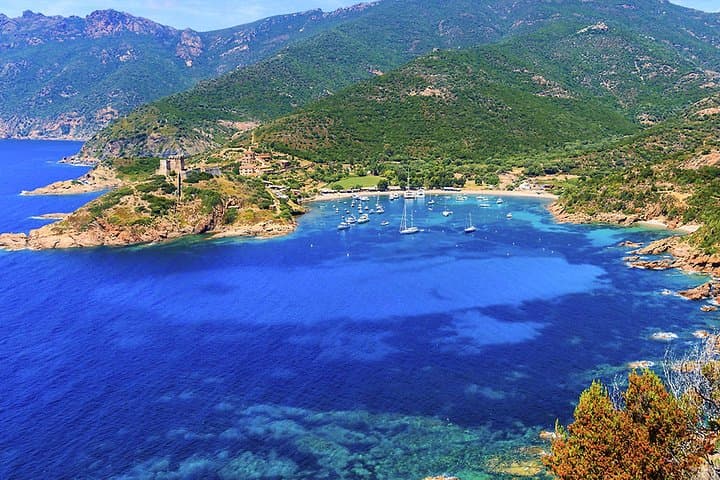 Visit Scandola, the creeks of Piana by boat