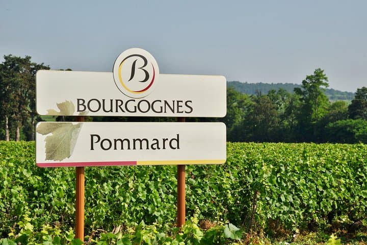 Burgundy Cote de Beaune Private Day Tour with Tastings from Beaune or Dijon