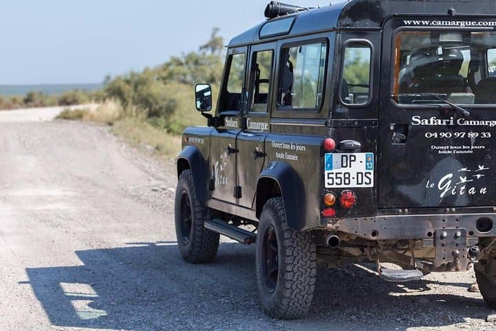 Camargue 4x4 Safari 2 hours Saintes Maries de la Mer