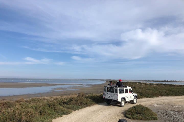 Camargue 4x4 Safari 2 hours Saintes Maries de la Mer