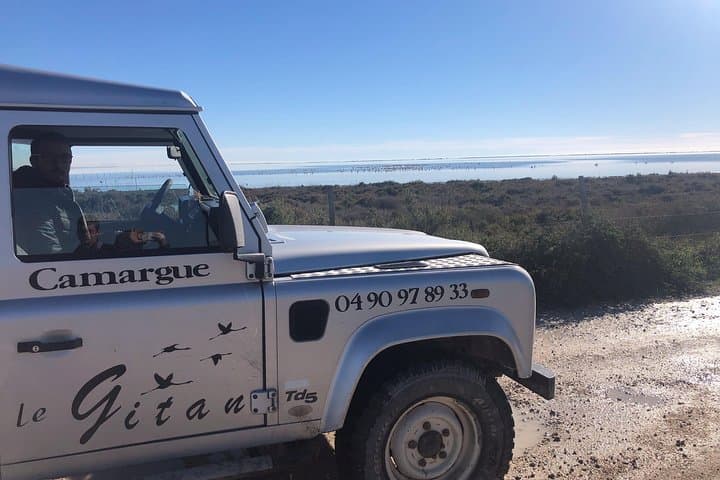 Camargue 4x4 Safari 2 hours Saintes Maries de la Mer