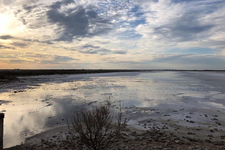 Camargue ponds