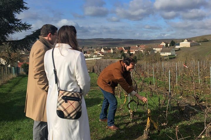 Vineyard Walking Tour & 5 Champagnes Tasting