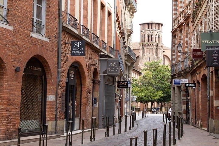Toulouse: Private guided walking tour