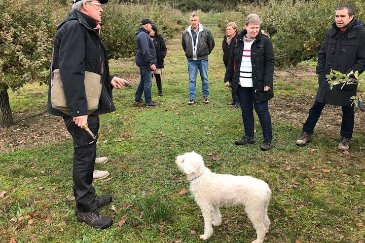 Visit truffle fields and hunt with a dog in all seasons.