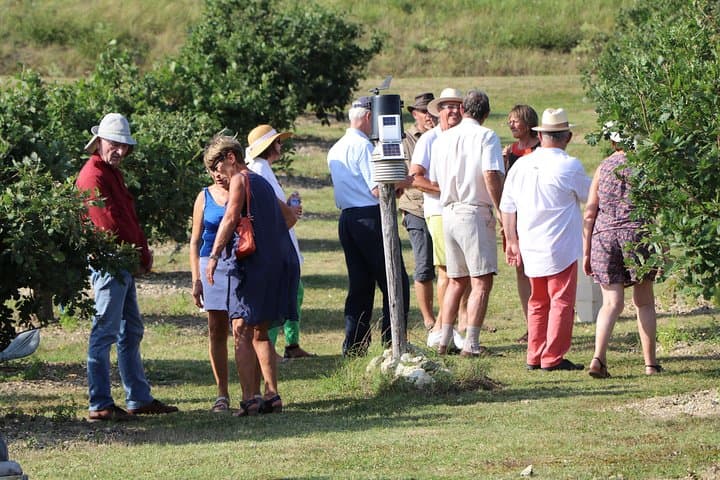 Visit truffle fields and hunt with a dog in all seasons.