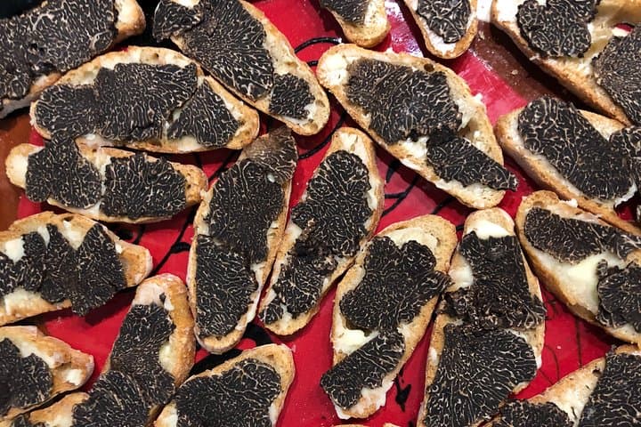 Visit truffle fields and hunt with a dog in all seasons.