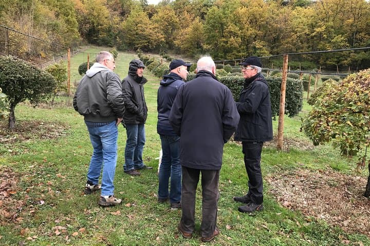 Visit truffle fields and hunt with a dog in all seasons.