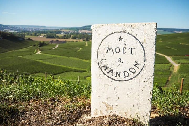 Full-Day Private Guided Tour of Champagne wih Hotel Pickup