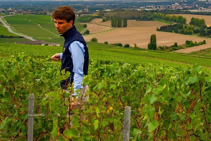 Full-Day Private Guided Tour of Champagne wih Hotel Pickup