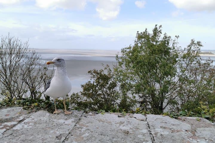 Private Guided Day Tour of Mont St-Michel from Paris