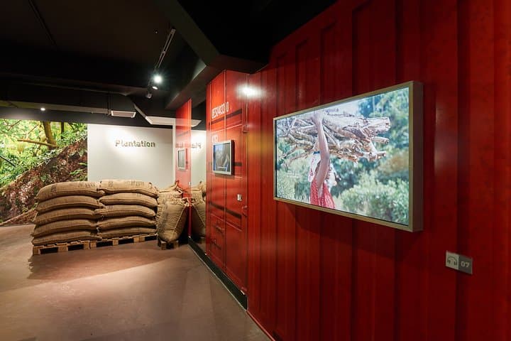 Colmar: Choco-Story Chocolate Museum Visit