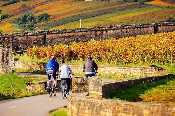 full Burgundy bike tour