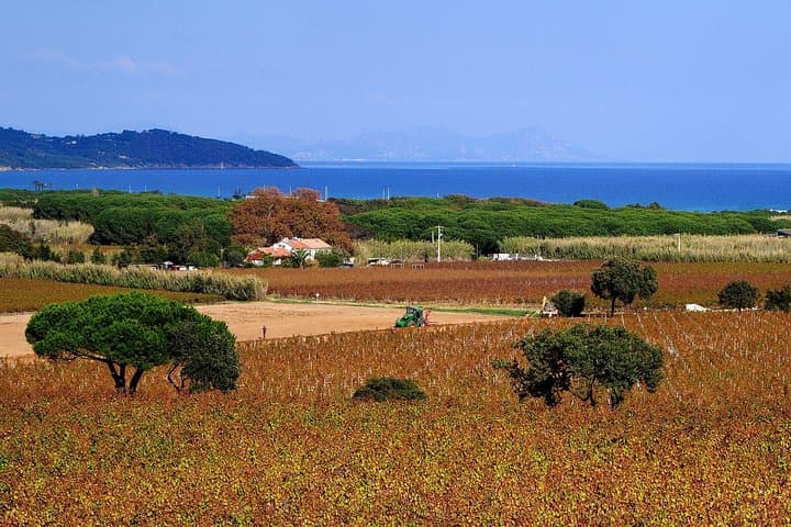 landscape around Saint Tropez