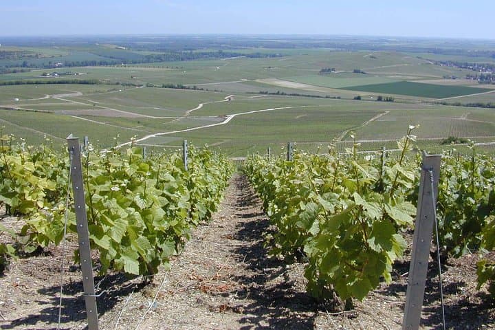 2 Day Champagne Tour - Custom Planned Visits & Private Driver