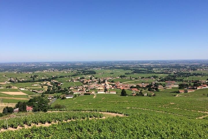 Beaujolais Wines & Castles - Private Tour - Half Day