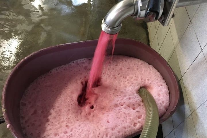 Beaujolais Wines & Castles - Private Tour - Half Day
