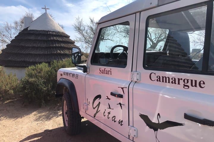 Camargue 4x4 Safari 2h + Picnic + Kayak
