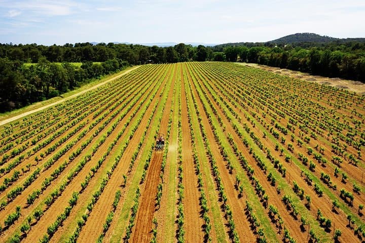 4x4 tour in a winery followed by a tasting