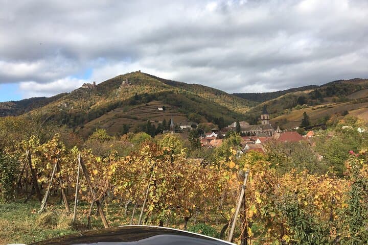 "Le petit Alsacien" Luxury Tour Local private friendly driver