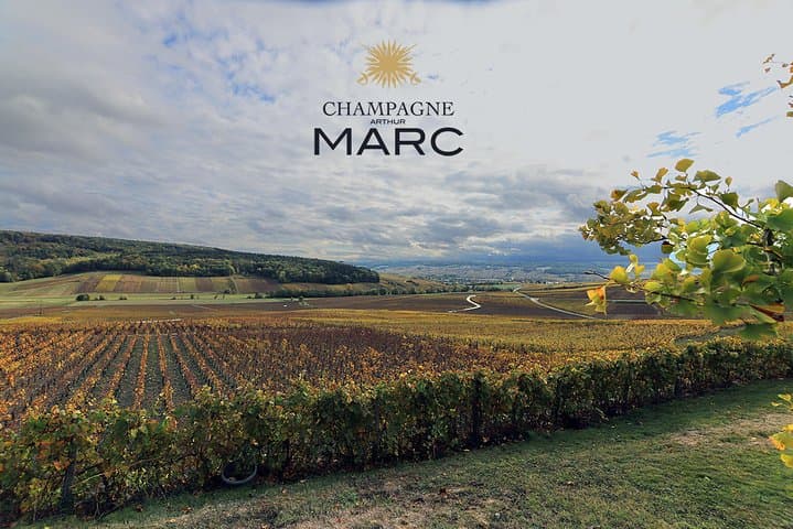A unique sensory experience in the vineyards